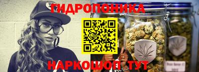 соль ск Бийск