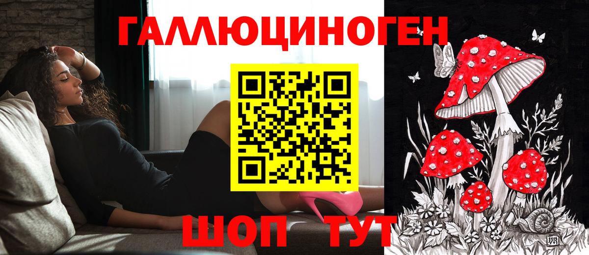 Кольчугино  Псилоцибиновые грибы Cubensis  Вход с VPN  Псилоцибиновые грибы ЛСД 